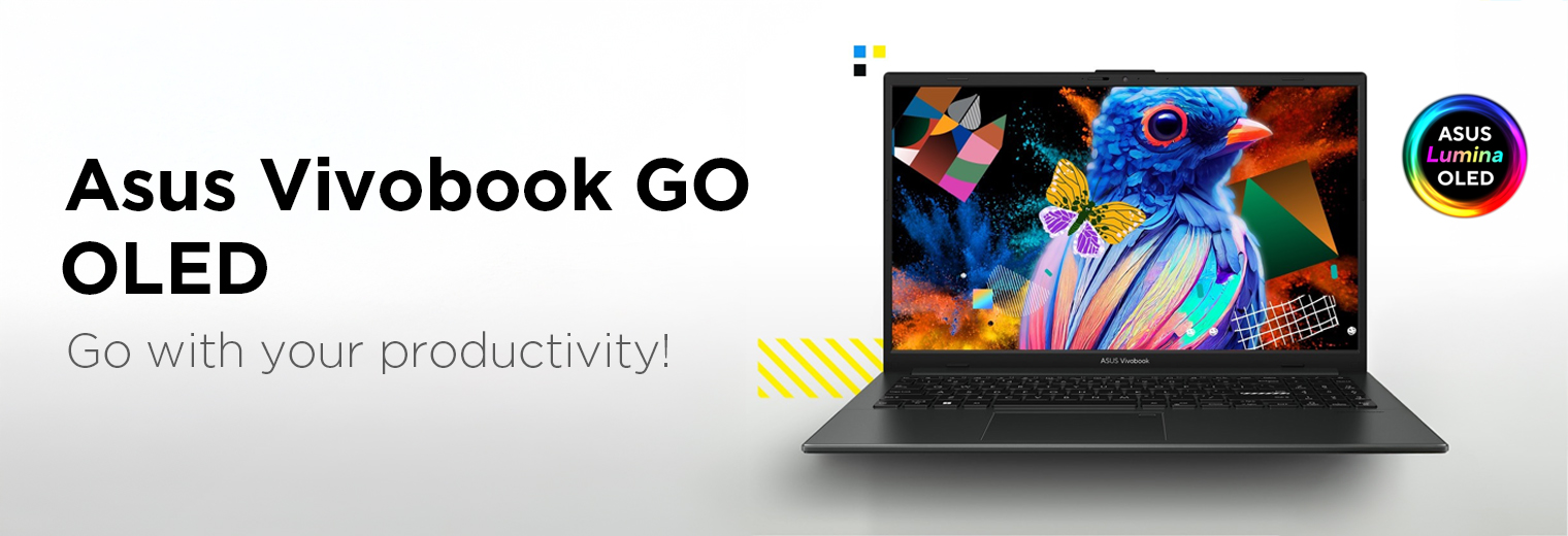 asus vivobook go